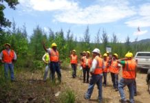 Falcondo logra certificación ISO 14001:15 de gestión ambiental