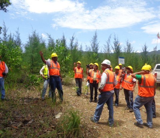 Falcondo logra certificación ISO 14001:15 de gestión ambiental