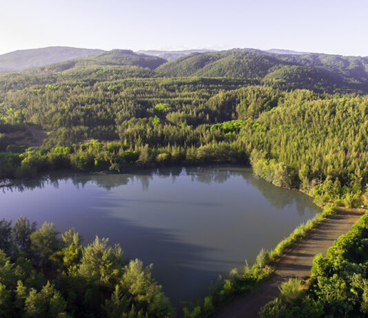 Falcondo es recertificada bajo estándares internacionales de gestión ambiental