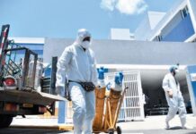 Salud Pública reporta cinco muertes por coronavirus