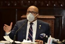 Diputados aprueban en dos lecturas ley que regula lengua de señas y sistema braille en RD