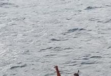 Bomberos rescatan hombre que se lanzó al mar Caribe cerca de la Avenida España