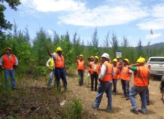Falcondo logra certificación ISO 14001:15 de gestión ambiental
